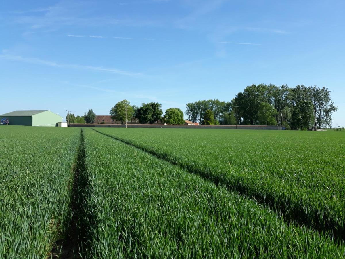 Vila Ferme De Mesangeon Beauvilliers  Exteriér fotografie