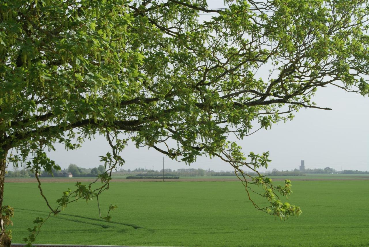 Vila Ferme De Mesangeon Beauvilliers  Exteriér fotografie